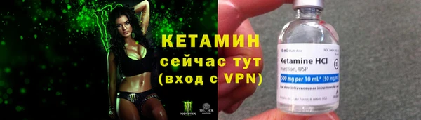 молекула духа Арсеньев