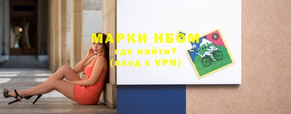 молекула духа Арсеньев