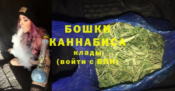 молекула духа Арсеньев