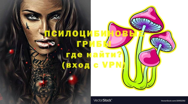 молекула духа Арсеньев