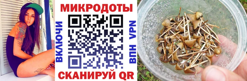 где найти   Горбатов  Псилоцибиновые грибы прущие грибы 